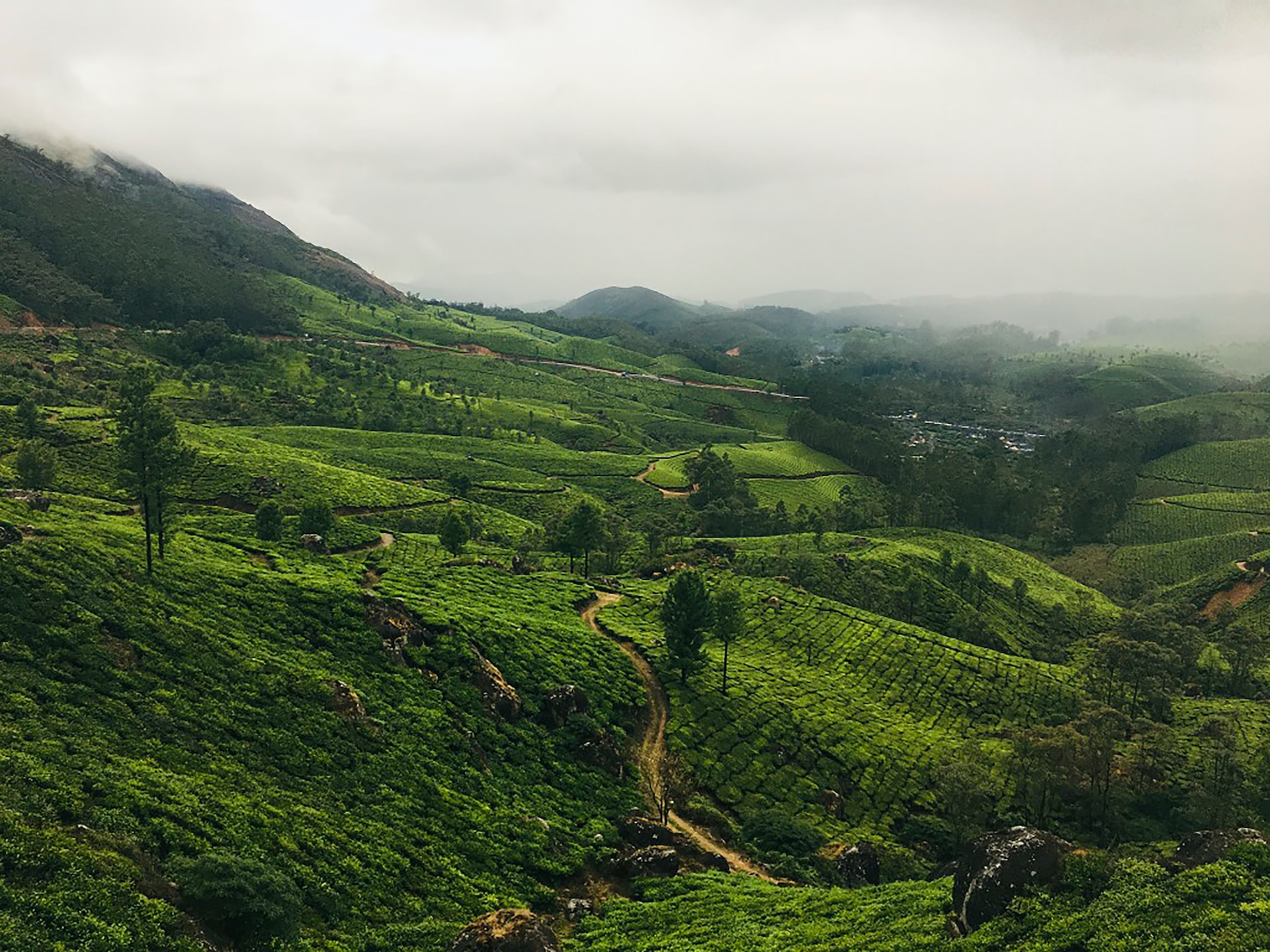 manali1